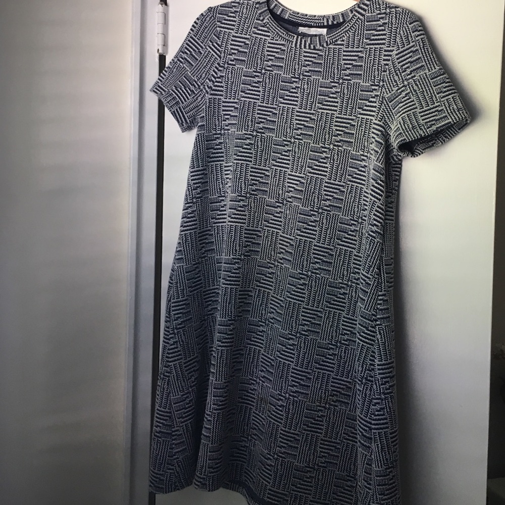 Short sleeve blue and white a-line Zara dress